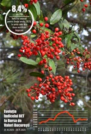 The Bolojan government rewrites the budget, the economy stagnates